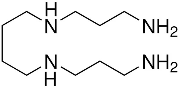 Chemical structure diagram of spermine.